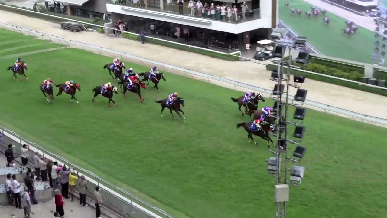 NUENG BARAMEE - 01/03/2026 - Race 4 - Thoroughbred Open Novice