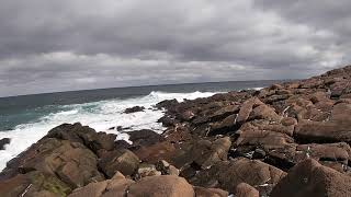 Cape Spear Waves