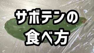 サボテンの食べ方‐下処理と調理‐やってみた