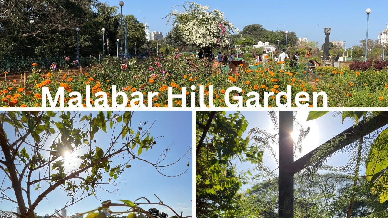 The Serene Beauty of Malabar Hill Garden: Mumbai's Hidden Oasis. Hanging Garden Mumbai.