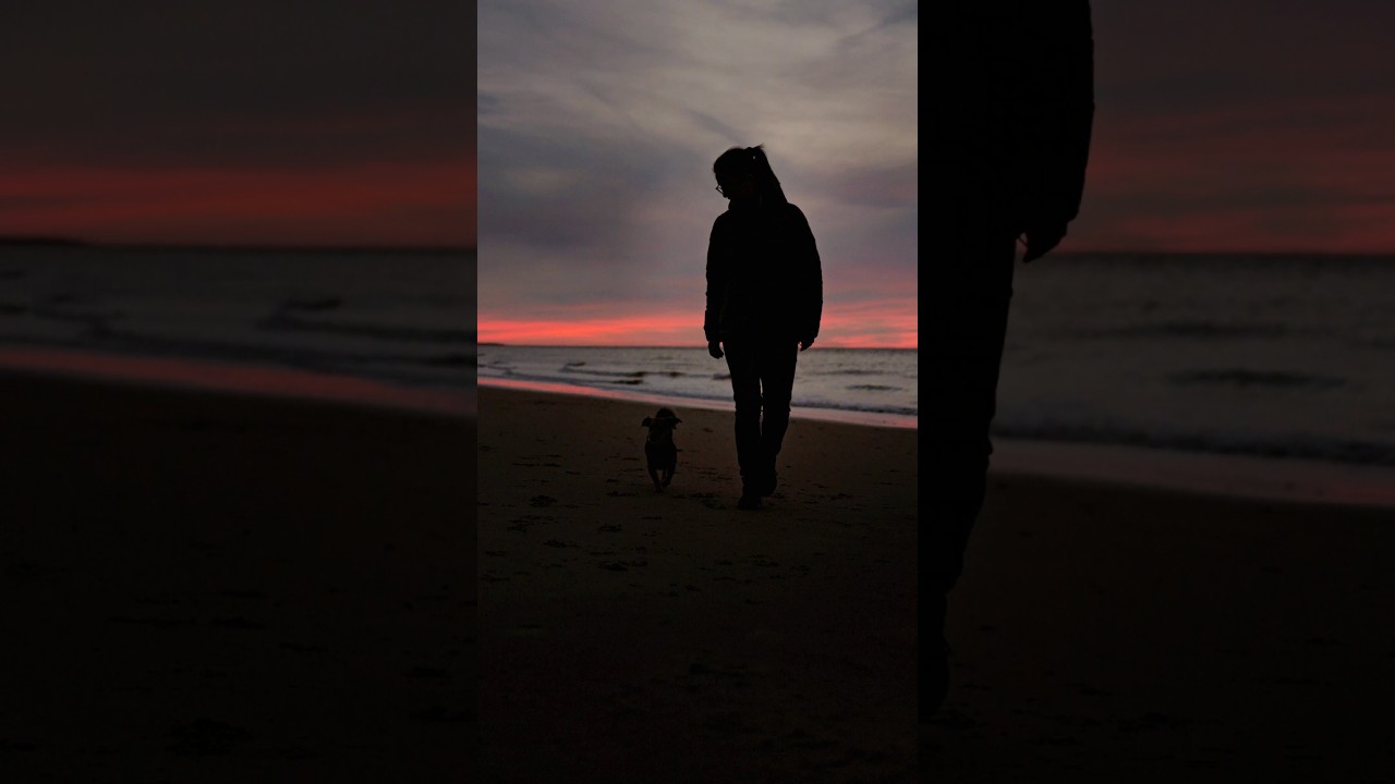 ERLEBNISURLAUB Zeelande - Urlaub mit Hunden. 