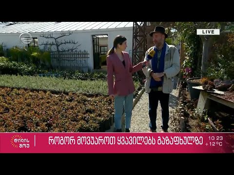 როგორ მოვუაროთ ყვავილებს გაზაფხულზე - საინტერესო რჩევები ზურა შევარდნაძისგან