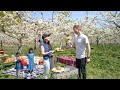 Hokkaido Spring Promotion - Enjoy the Cherry Blossom Season in Hokkaido on a Family Vacation