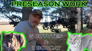 PRESEASON WORK & December Coyote Catches: 1 Bobcat & 5 Coyotes (S6:6)