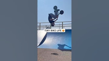 Tiny bike life! 😍🚲 Hayden Anderson #shorts #maddgear #bmx #bike #sports #shortvideo #tricks