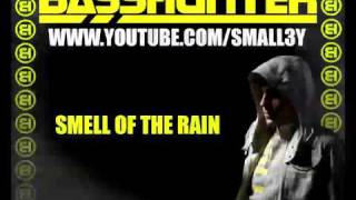Basshunter - Smell Of The Rain