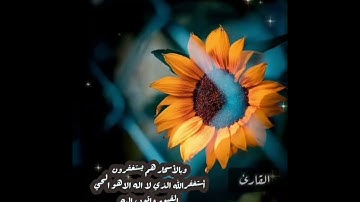 تلاوة من أجمل التلاوات / للقارئ زكريا محمد عبد الجبار الصومالي 🌹