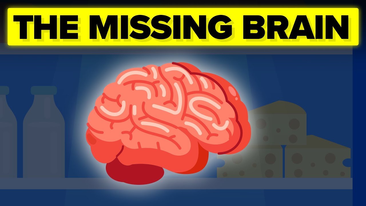 autopsy doctor The Insane Mystery Surrounding JFK's Missing Brain