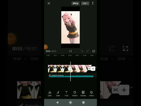 Untitled video