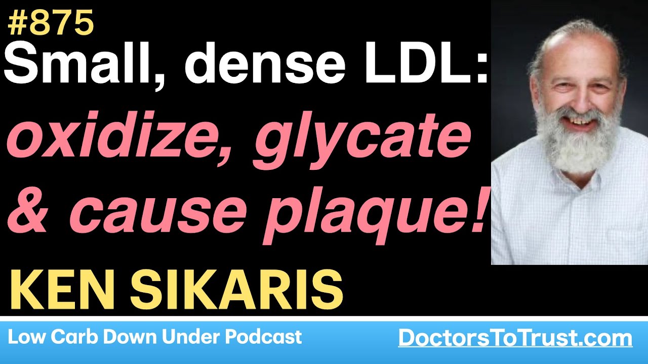 KEN SIKARIS 2 Small Dense LDL Oxidize Glycate Cause Plaque Ken sikaris 2 small dense ldl oxidize glycate cause plaque