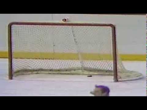 who was the first nhl goalie to score a goal