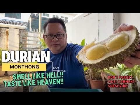 What Is Monthong Durian