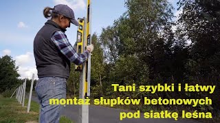 Tanio , szybko, łatwo montaż słupków betonowych pod siatkę leśna.  Grodzenie 800 metrów.