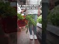 유럽이 지금 급속도로 경제가 무너지고 있는 이유와 전망 #korean #유럽 #급속도로 #경제 #무너지고 #있는 #이유 #전망