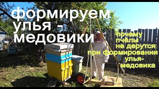 How I form honey hives