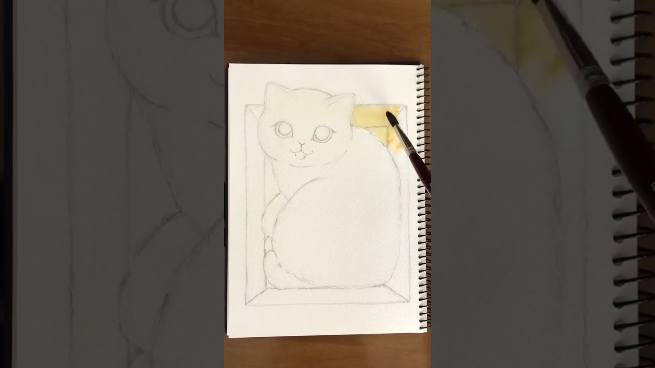 箱に入るのが大好きな猫ちゃん📦🐈 - YouTube