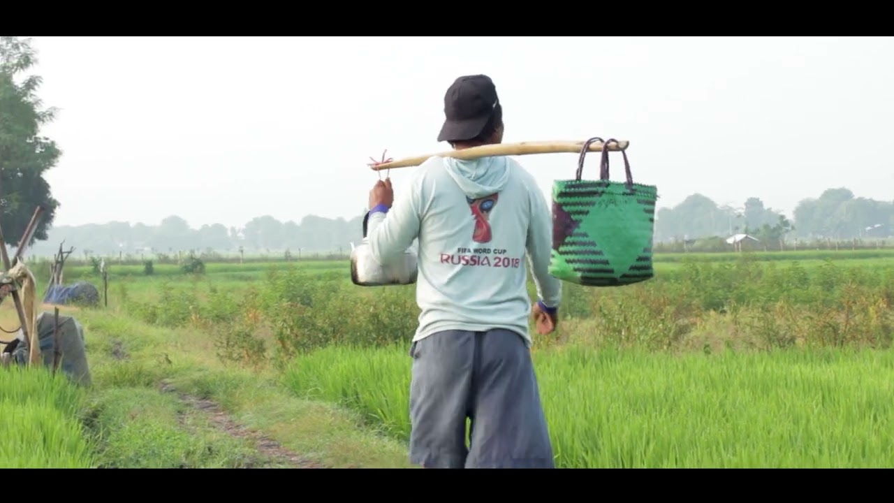 KEINDAHAN DESA PEMARON BREBES Wingki Zalu Septian