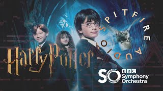 Harry Potter Hedwigs Theme Midi Mockup