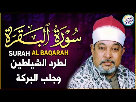 الشيخ السيد سعيد سورة البقرة تلاوة أسطورية أبهرت الحاضرين