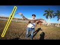 Catch Clean Cook GIANT Iguana: Blowgun Hunting