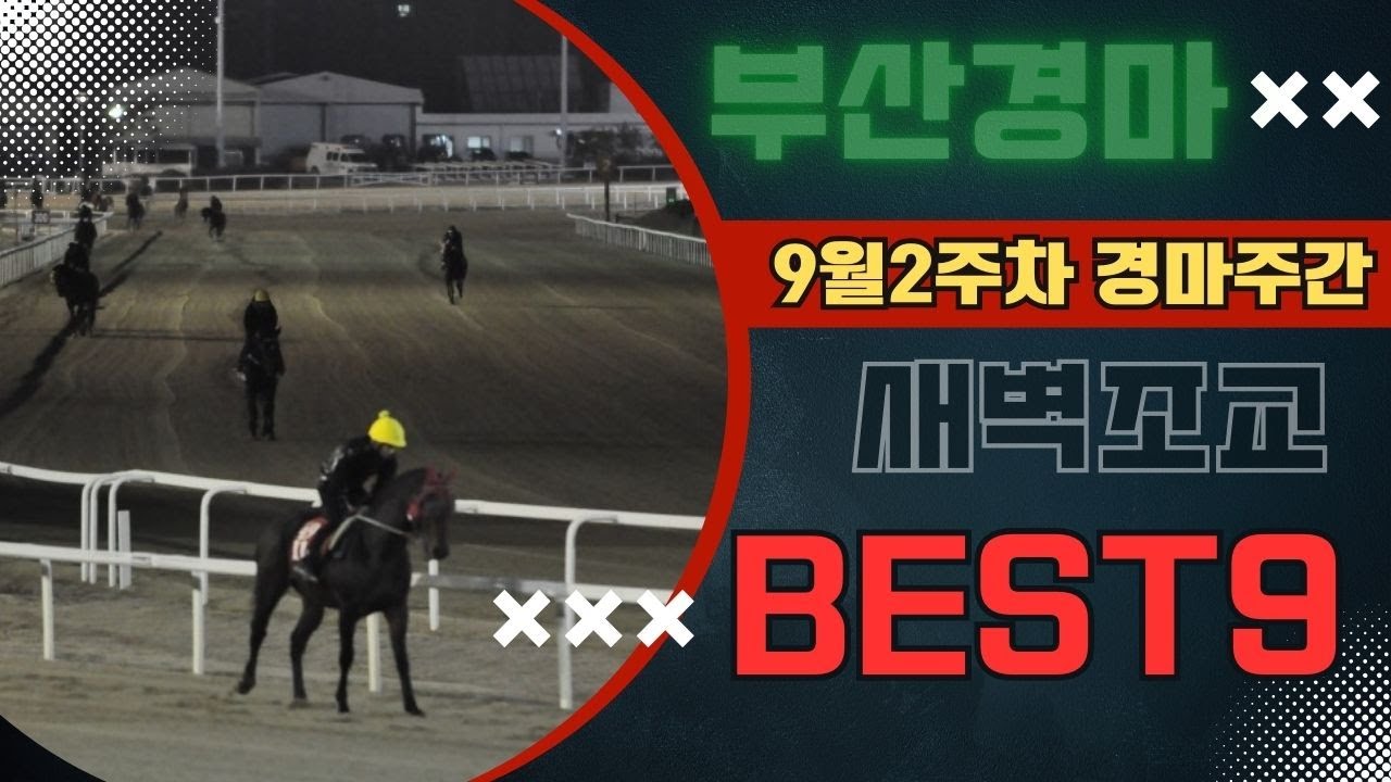 [굽소리경마] 9월2주차 부산경마!! 돈되는 조교우수마 9두!! 훈련변화 보인 마필은??#새벽조교#과천경마장#조교우수마#굽소리경마