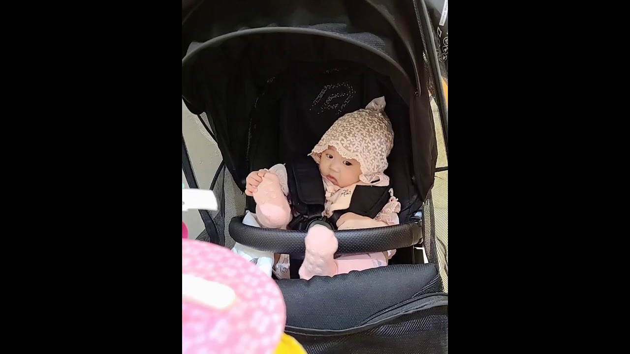 STROLLER RIDE | Compilation - YouTube