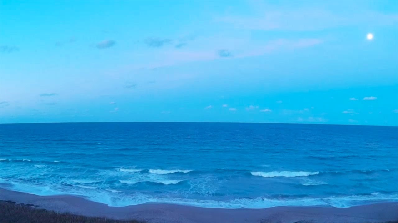 Live Florida Beach Cam Jensen Beach FL Live Cam [HD] YouTube