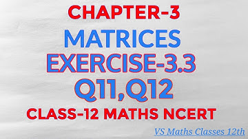 Chapter 3 Matrices Exercise 3.3 Q11,Q12  class 12 Maths ✍️|| NCERT|| VS Maths Classes 12th