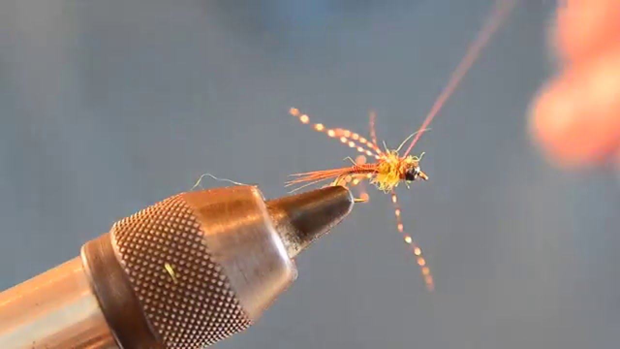 How to Tie The Wired PMD Nymph