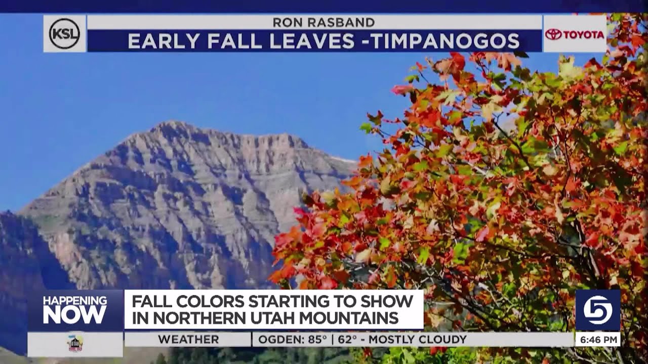 When Do The Leaves Change In Utah 2017