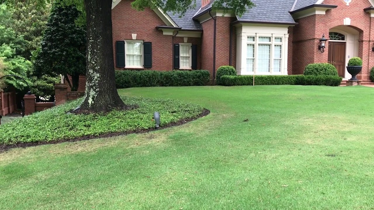 How to Treat Dry Spots in Zoysia