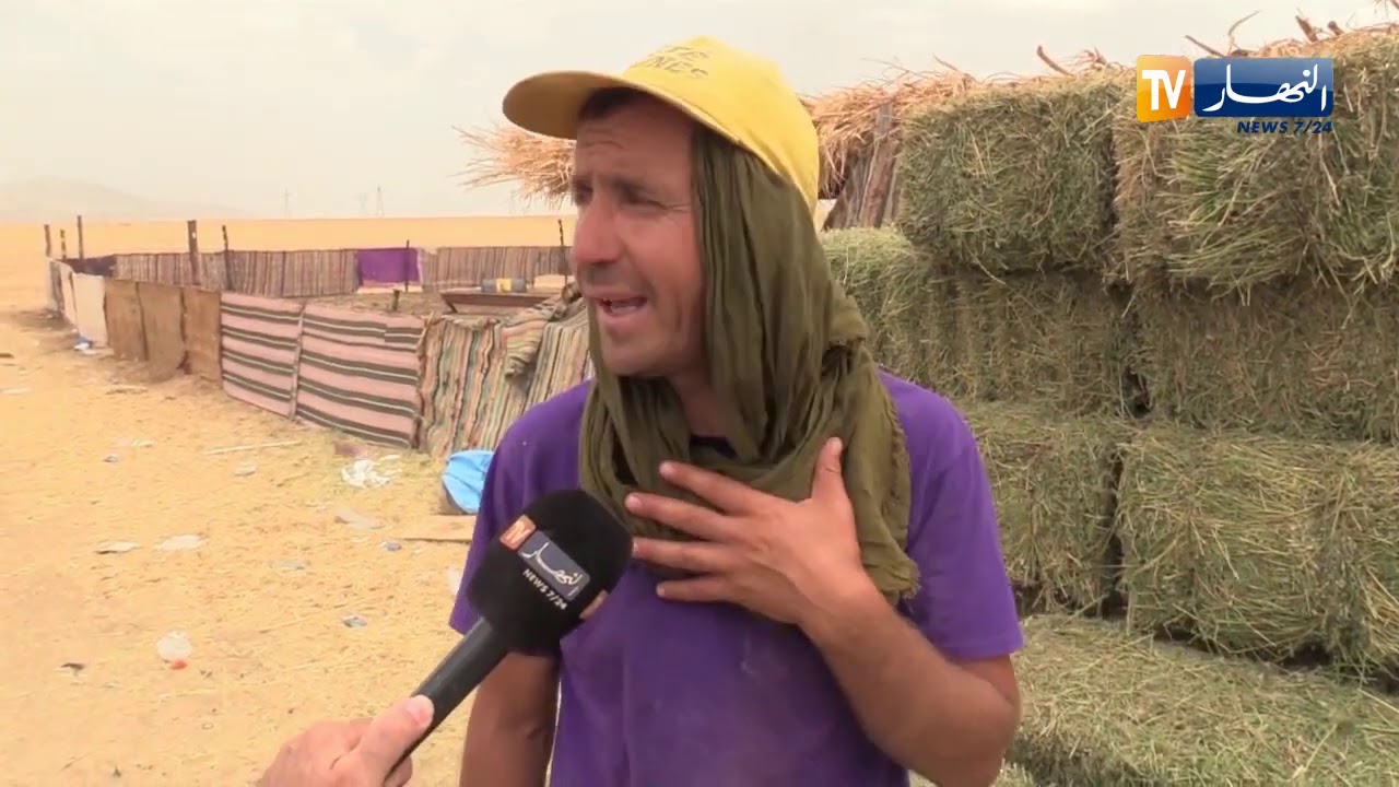 أم البواقي : عماد .. فلاح يرفع التحدي لخدمة أرضه رغم غياب الكهرباء الفلاحية