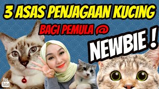 3 CARA PENJAGAAN KUCING BAGI PEMULA @ NEWBIE ! (MALAYSIA)