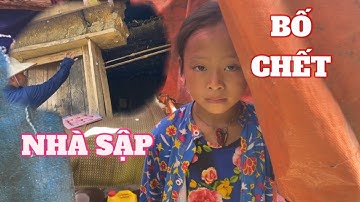 BÉ CHỞ MỒ CÔI 10 TUỔI PHẢI SỐNG TRONG CHUỒNG LỢN RÁCH NÁT...BỐ CHẾT, NHÀ SẬP, ANH EM BỎ SỨ...