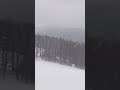 Neige Snow Instagram Music ثلج غابة Schnee Natur طبيعة تصويري الغابة Forest فيديوهات حب 