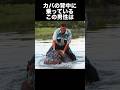 動物愛好家がペットのカバに喰われた事件　　　　　　　　　　　　　　#かば #怖い #怖い話