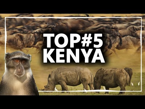 Video: I Luoghi In Cui Fotografare La Fauna Selvatica E L'architettura Intorno A Nairobi