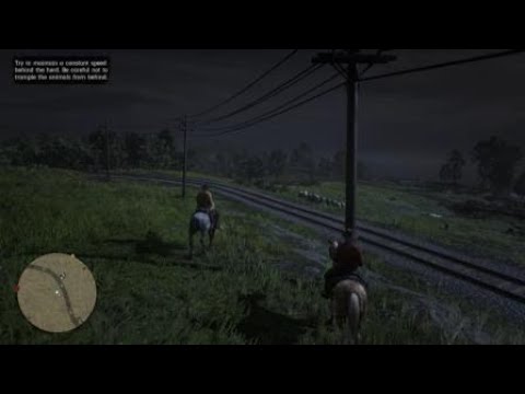david balleri figli Red Dead Redemption 2_20190121223640