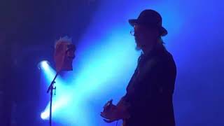 Primus-Wynona’s Big Brown Beaver-Live- St Augustine FL 5/7/2022