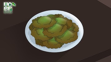 KEMPUNAN - 2D  Short Animated Film 2023 | UCSF Final Year Project