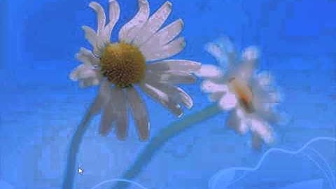 Windows 8 Configuring Lesson 15 Configure File and Folder Access