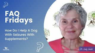 Supplementing For A Dog With Seizures