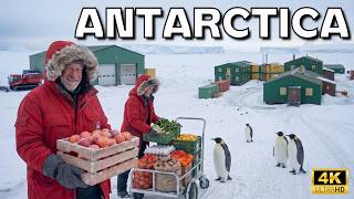 How People Live in Antarctica | How People Live in the Coldest Place on Earth | 4K Travel