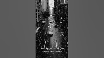 فصبر جميل عسى الله أن يأتيني بهم جميعا تلاوة هادئة 🌿🎧 للقارئ محمد هشام 🖤🎧🤍