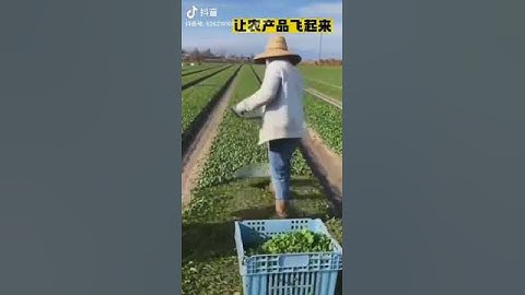 "Revolutionary Farmer