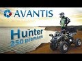 Квадроцикл Avantis Hunter 250 Premium тест-драйв / Авантис Хантер 250 премиум / люкс / 150 / 200