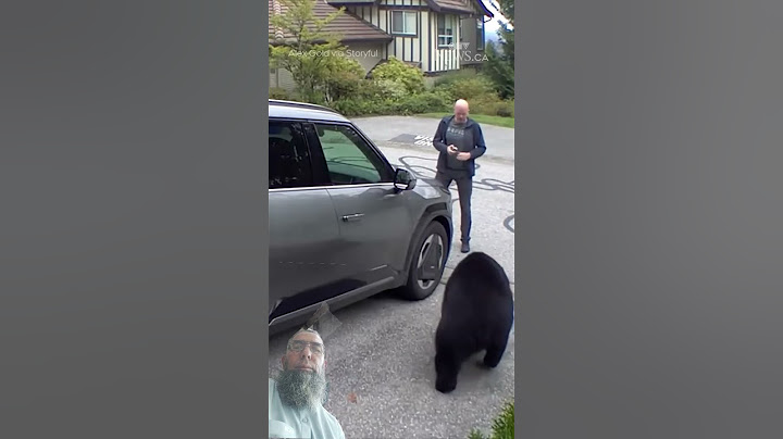 B.C. man has very close encounter with black bear