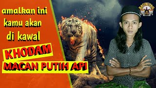 cara memanggil khodam macan putih api