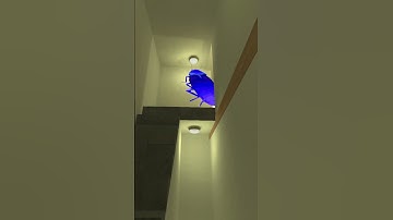 Cockroach Super And Banana Nextbot Gmod