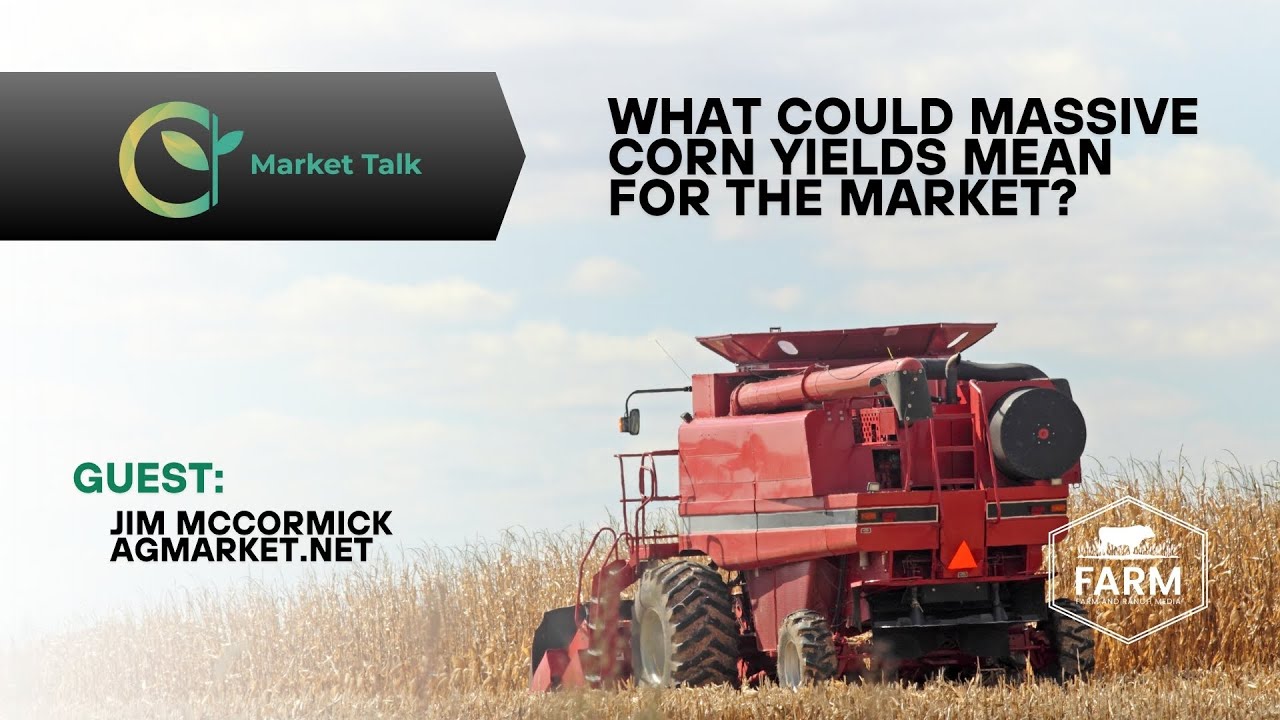 What Could Massive Corn Yields Mean for the Market? What Could Massive Corn Yields Mean for the Market?